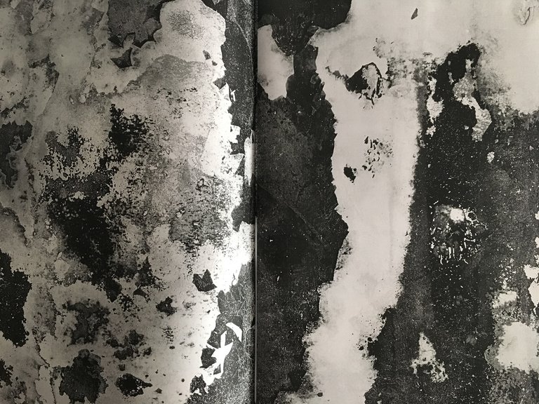 Calx | Immagine Gallery 6