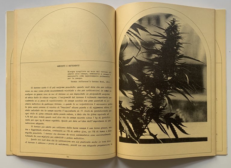 Campa cavallo che l'erba cresce. Storia, cucina e coltura della … | Immagine Gallery 3