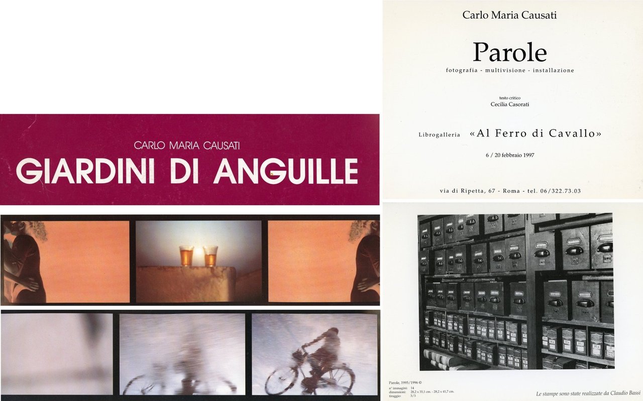 Carlo Maria Causati. Giardini di anguille | Immagine principale