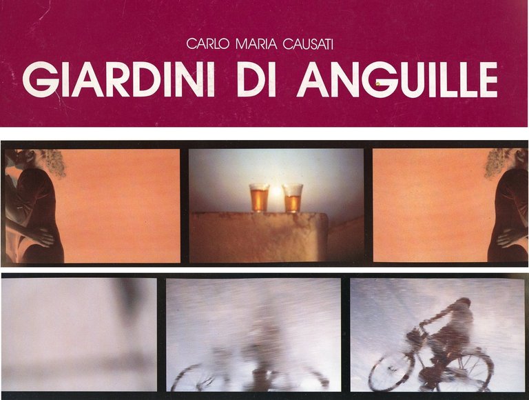 Carlo Maria Causati. Giardini di anguille | Immagine Gallery 2