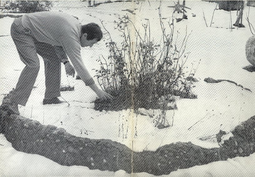 Cavaliere | Immagine principale