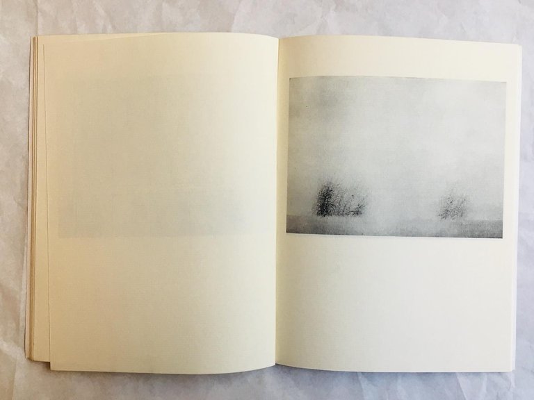 Cecco Ceccherini. La Luna | Immagine Gallery 2