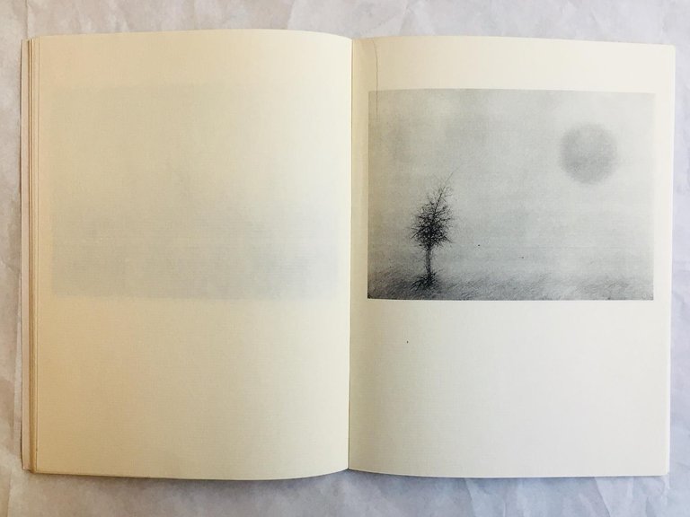 Cecco Ceccherini. La Luna | Immagine Gallery 3