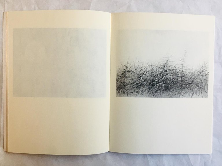 Cecco Ceccherini. La Luna | Immagine Gallery 4