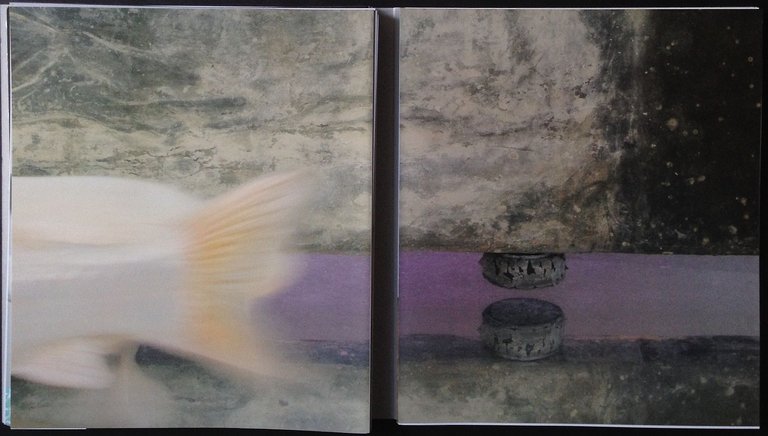 Chi ti fece strumento, chi ti suona | Immagine Gallery 3