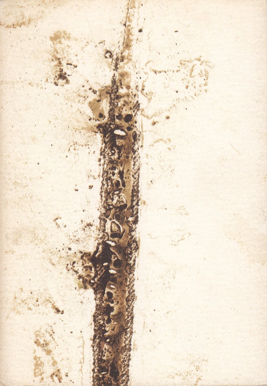 Christian Jaccard. Lithographies 1968-1984 | Immagine principale