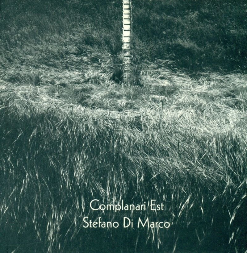 Complanari est | Immagine principale