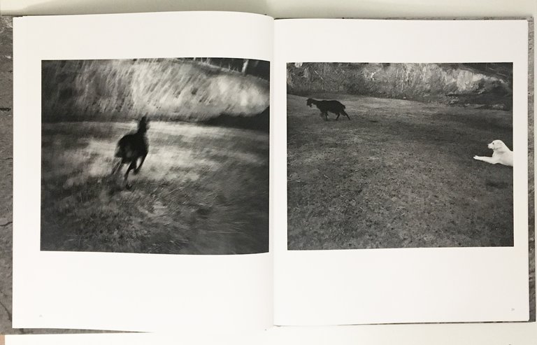 Confine | Immagine Gallery 2