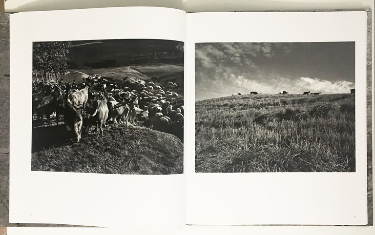 Confine | Immagine Gallery 3