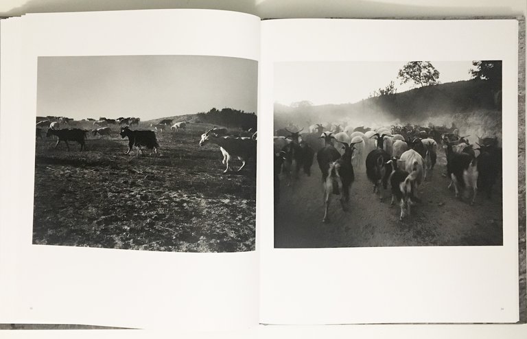 Confine | Immagine Gallery 4