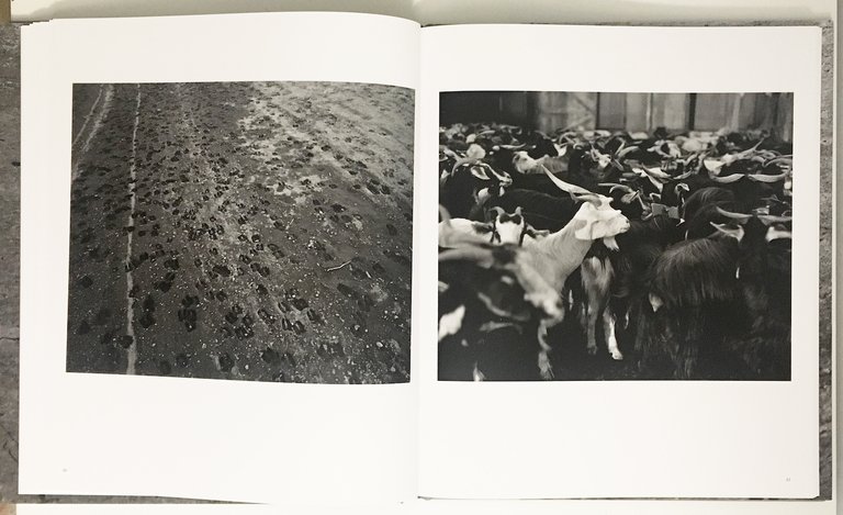 Confine | Immagine Gallery 5