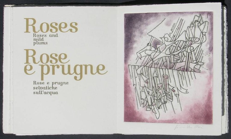 Conquistador | Immagine Gallery 7