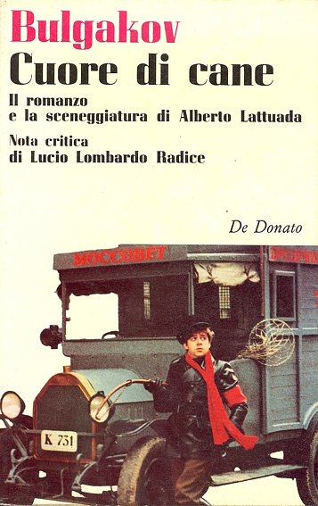 Cuore di cane | Immagine principale