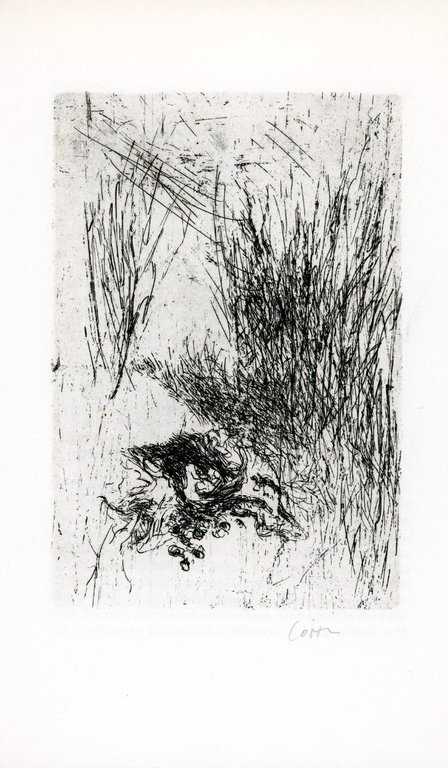 D'Annunzio, i cani, il nulla | Immagine Gallery 2