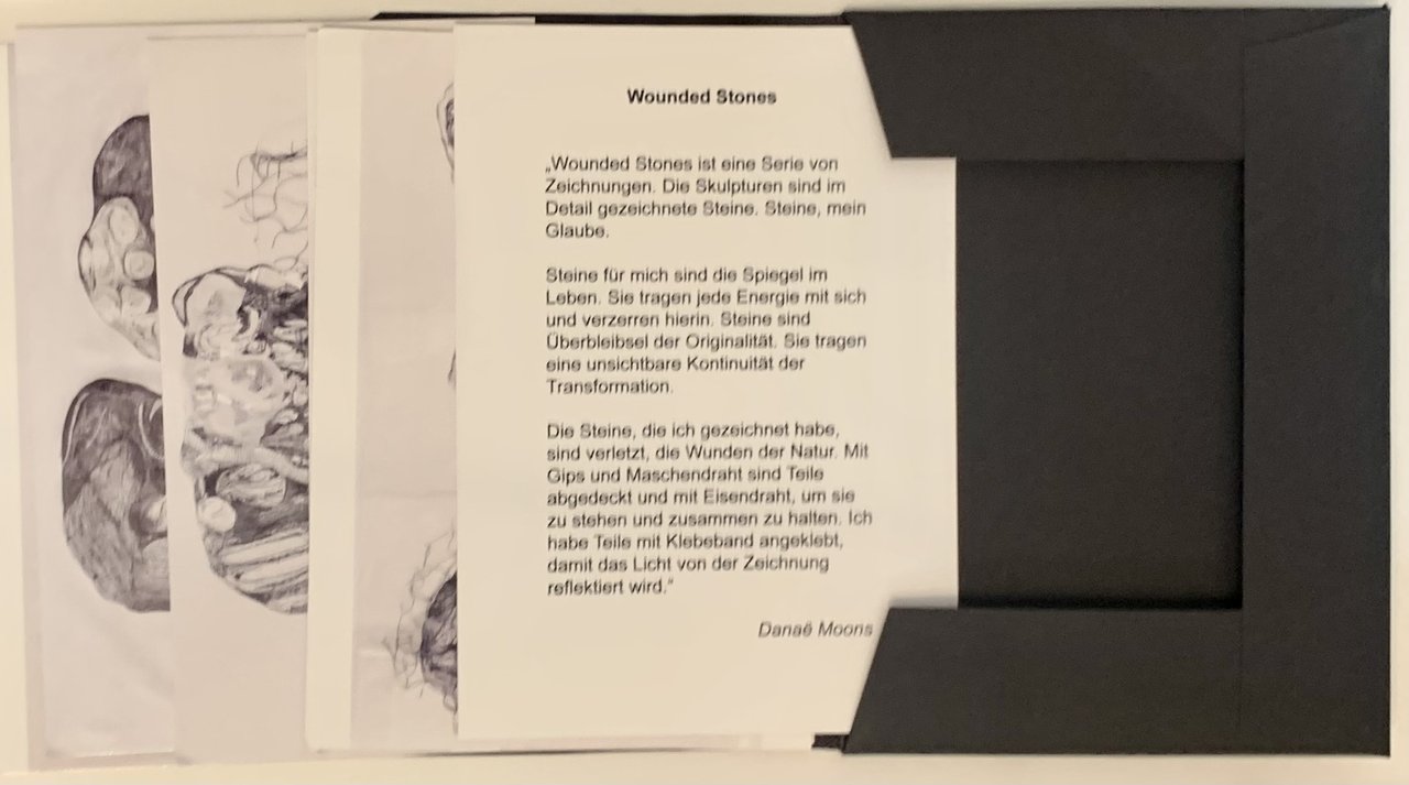 Danae Moons. Wounded Stones | Immagine principale
