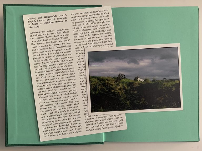 Darling | Immagine Gallery 2