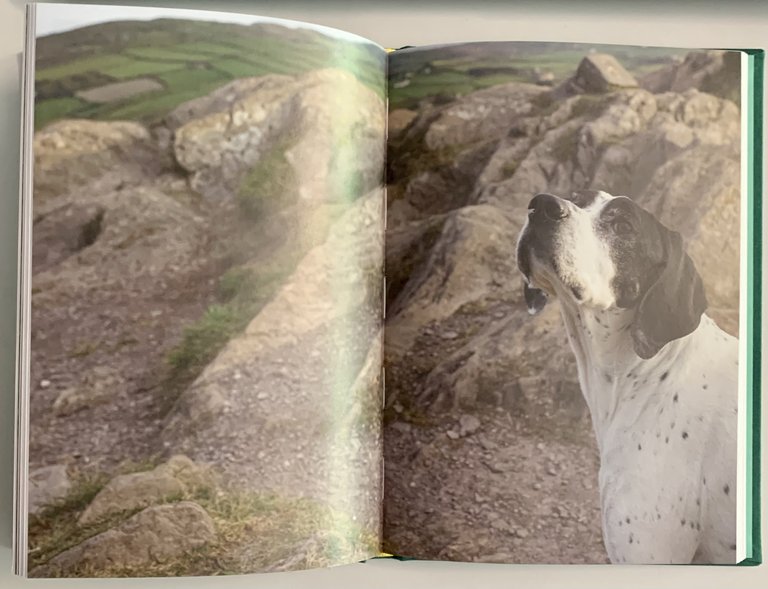 Darling | Immagine Gallery 3