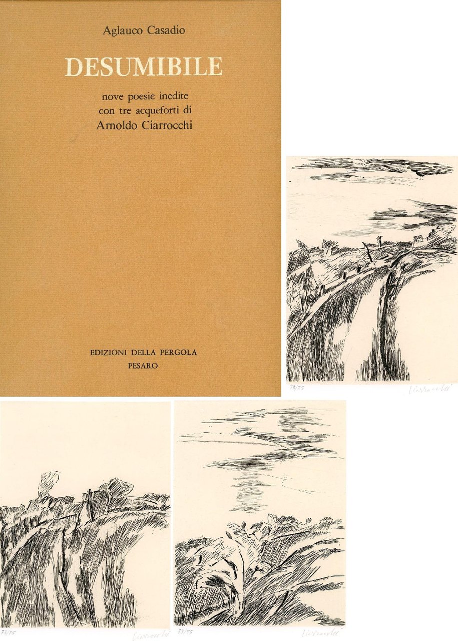 Desumibile | Immagine principale