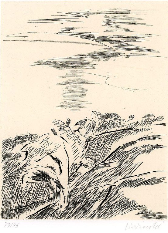 Desumibile | Immagine Gallery 2