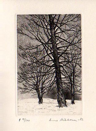 Diarietto invecchiando e altre poesie. Vanhenemisen paivakirja Jja muita runoja | Immagine Gallery 2