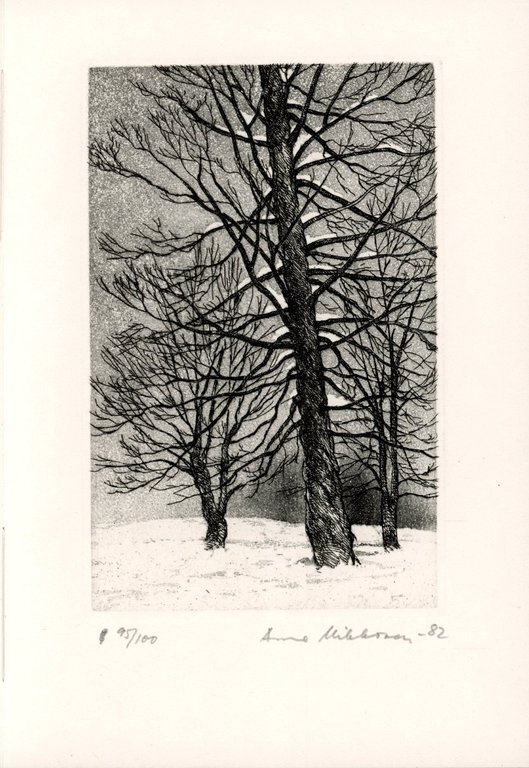 Diarietto invecchiando e altre poesie. Vanhenemisen paivakirja Jja muita runoja | Immagine Gallery 4