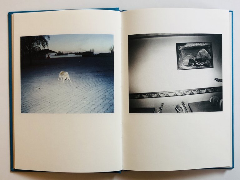 Dugum | Immagine Gallery 3