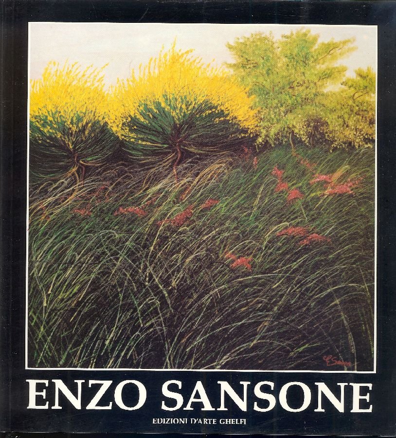 Enzo Sansone | Immagine principale
