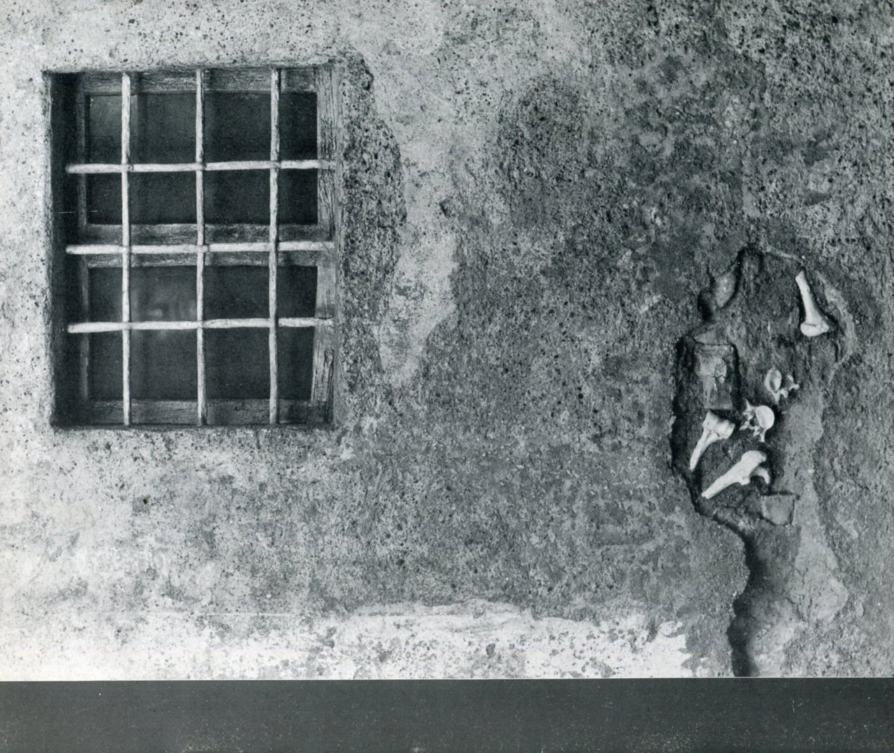 Enzo Vicentini. Opere dal 1971 al 1972. Galleria Il Fante … | Immagine principale