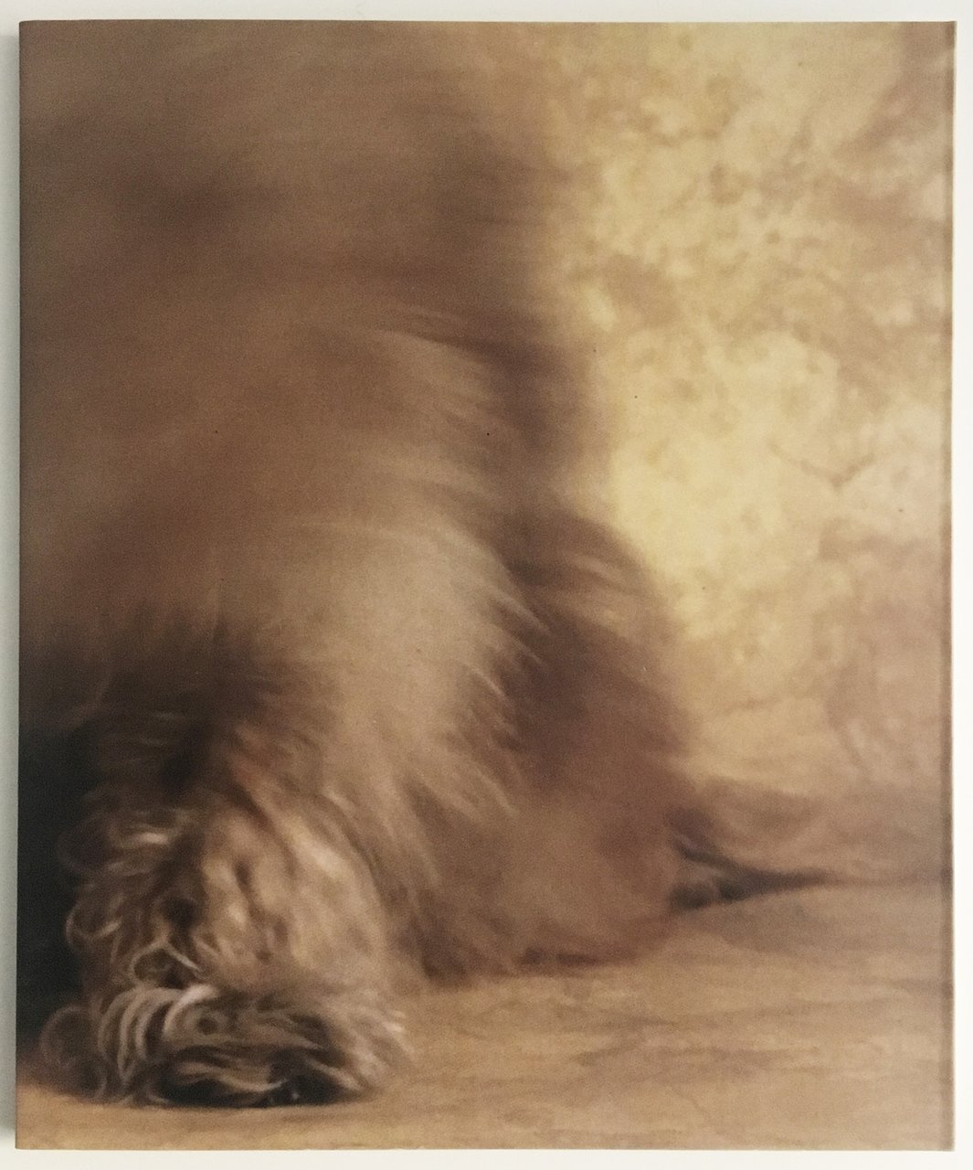 Famosa | Immagine principale