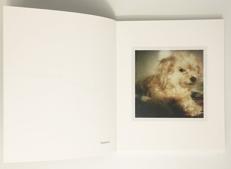 Famosa | Immagine Gallery 3