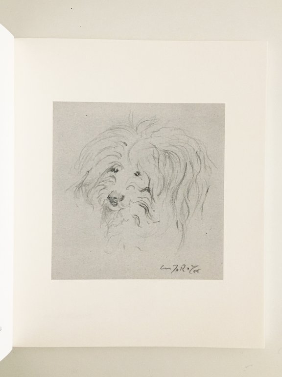 Famosa | Immagine Gallery 4