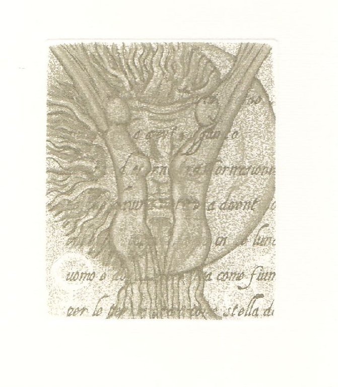 Favola d&amp;#39;amore. Le trasformazioni di Pictor | Immagine Gallery 2