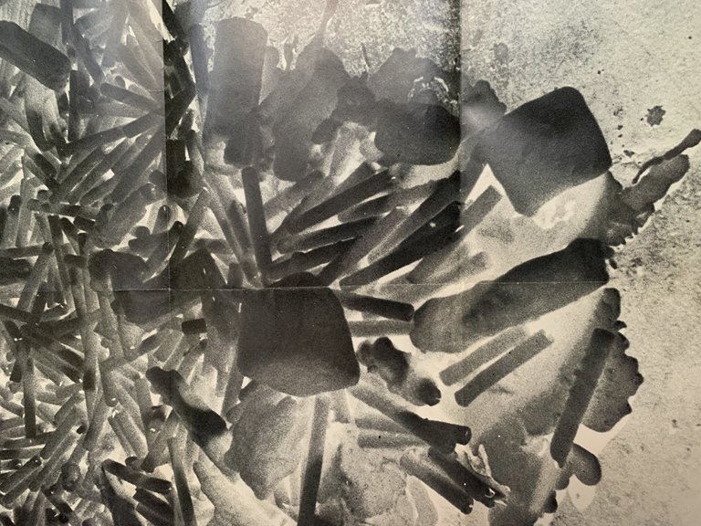 Federico De Leonardis. Manifesto originale | Immagine Gallery 3