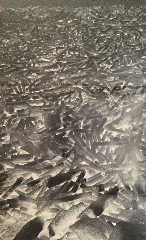 Federico De Leonardis. Manifesto originale | Immagine Gallery 4