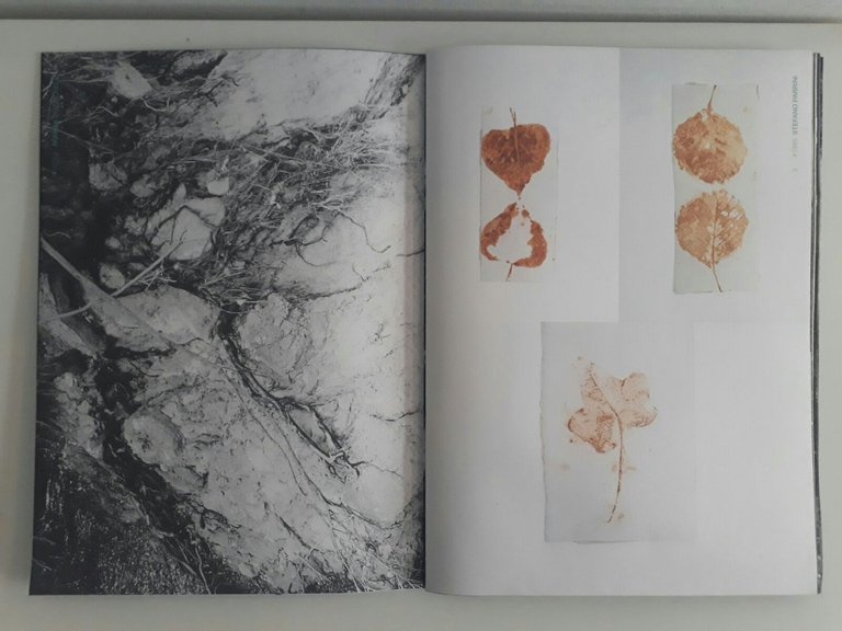 Fiume | Immagine Gallery 4