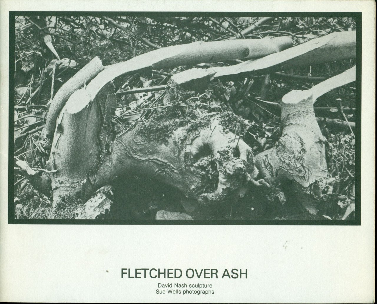 Fletched over ash. David Nash sculpture | Immagine principale