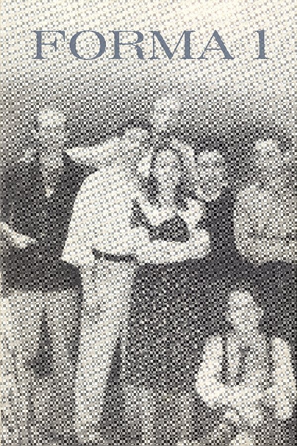 Forma 1. Accardi, Attardi, Consagra, Dorazio, Guerrini, Maugeri, Perilli, Sanfilippo, … | Immagine principale