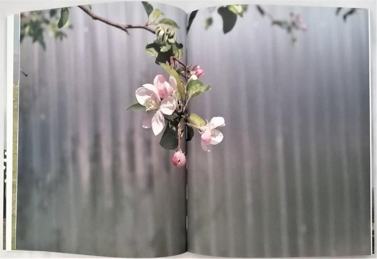 Four years, three deaths, sweaty armpits and a fetus | Immagine Gallery 4