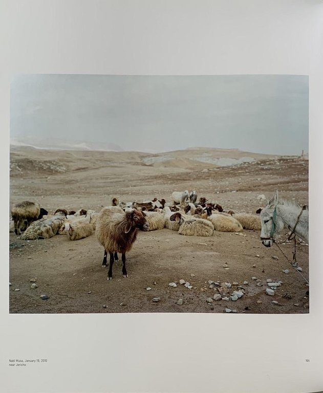 From Galilee to the Negev | Immagine Gallery 9