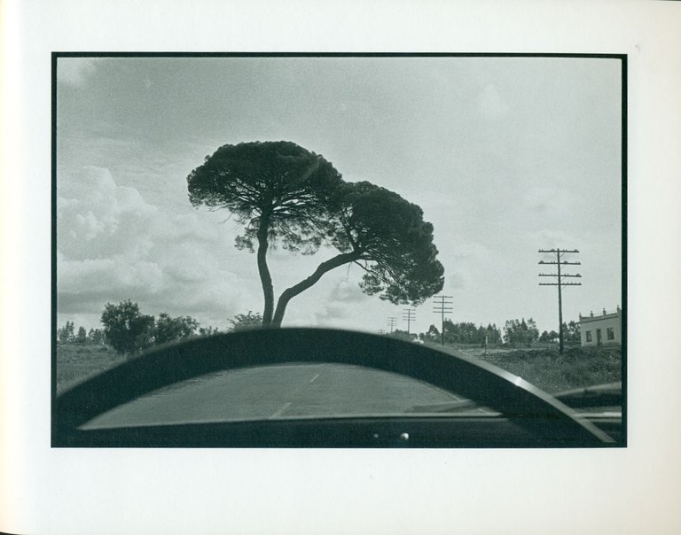 Glimpse | Immagine Gallery 2