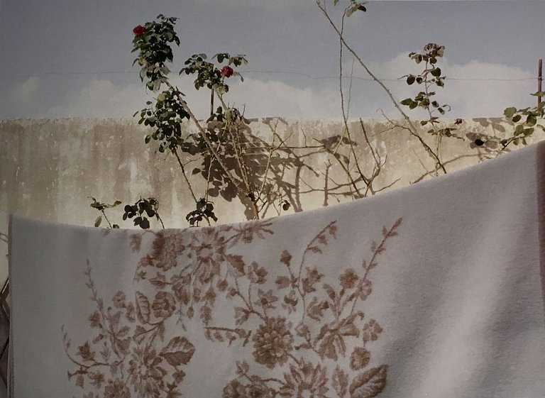 Going slowly | Immagine Gallery 2