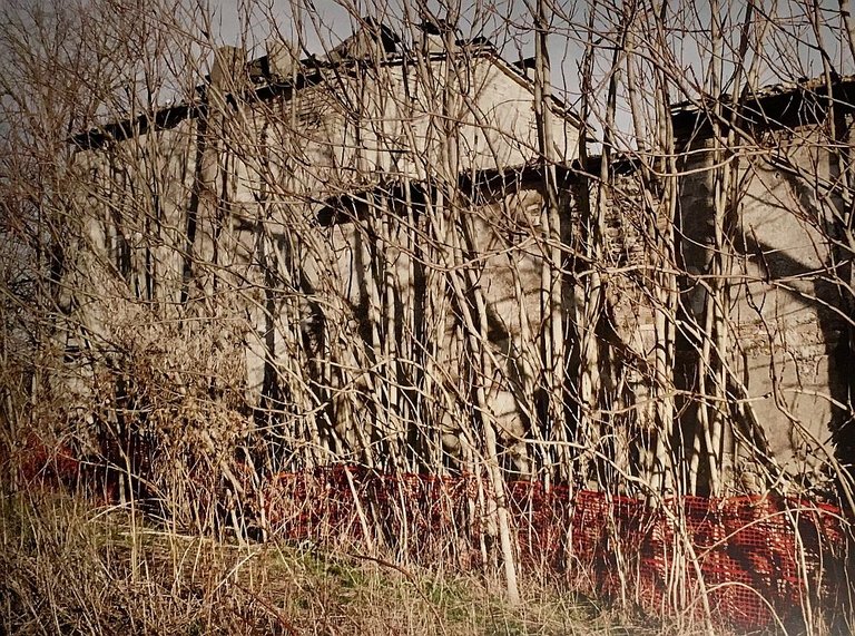 Going slowly | Immagine Gallery 4