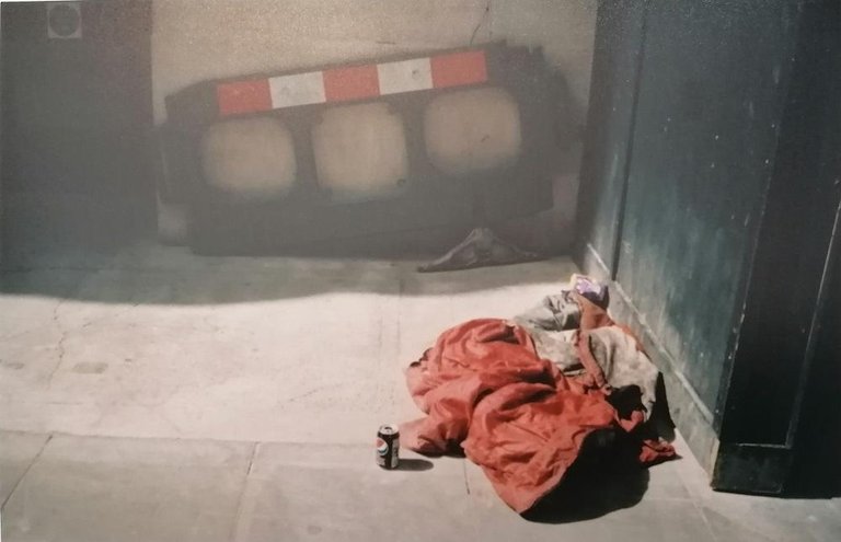 Habitat | Immagine Gallery 2