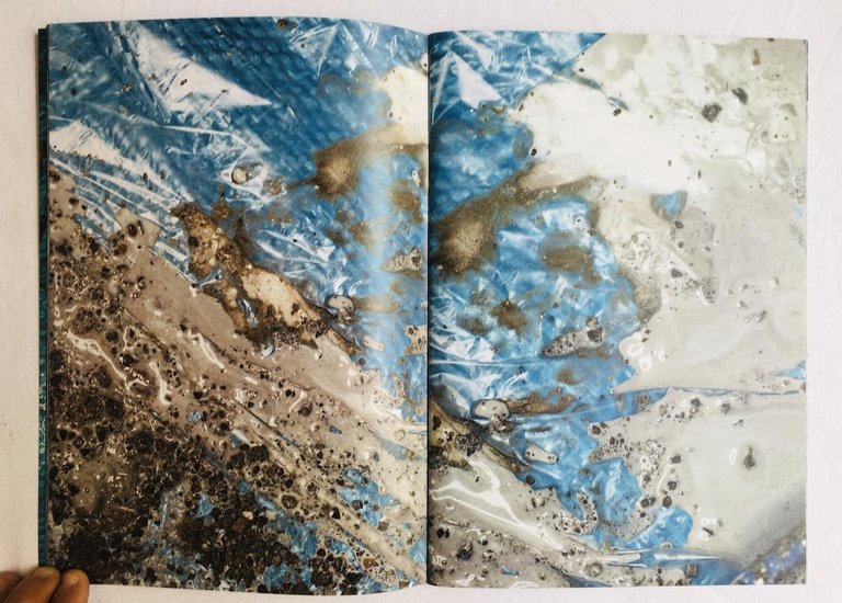 Hi Duck | Immagine Gallery 6