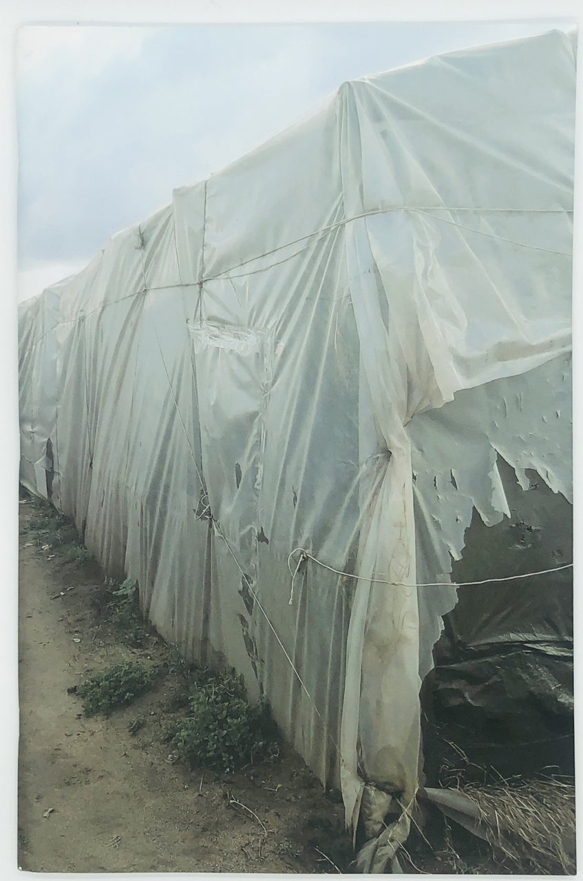 Home | Immagine principale