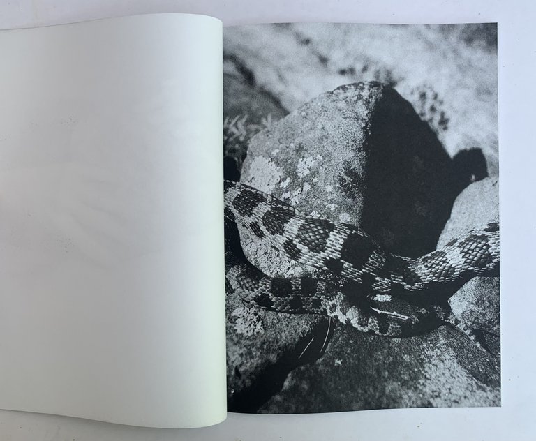 How to Understand a Rock | Immagine Gallery 5