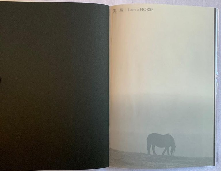 I am a Horse | Immagine Gallery 3