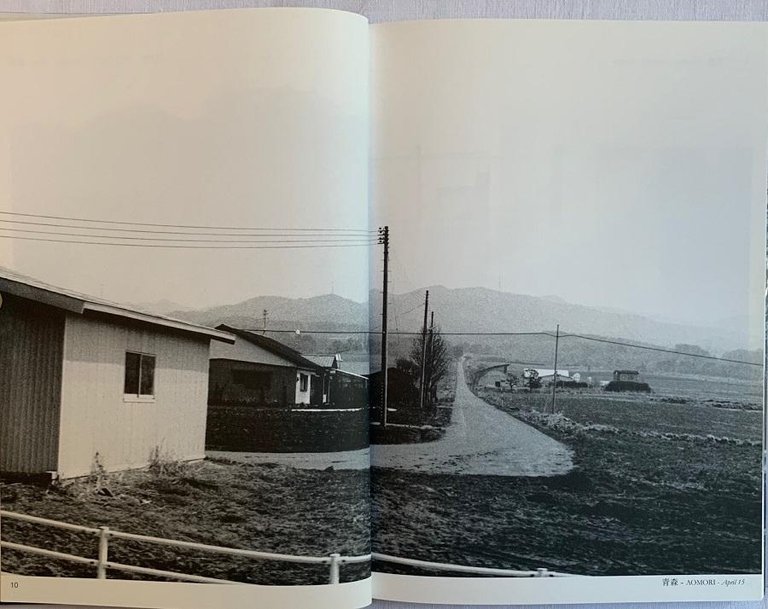 I am a Horse | Immagine Gallery 4