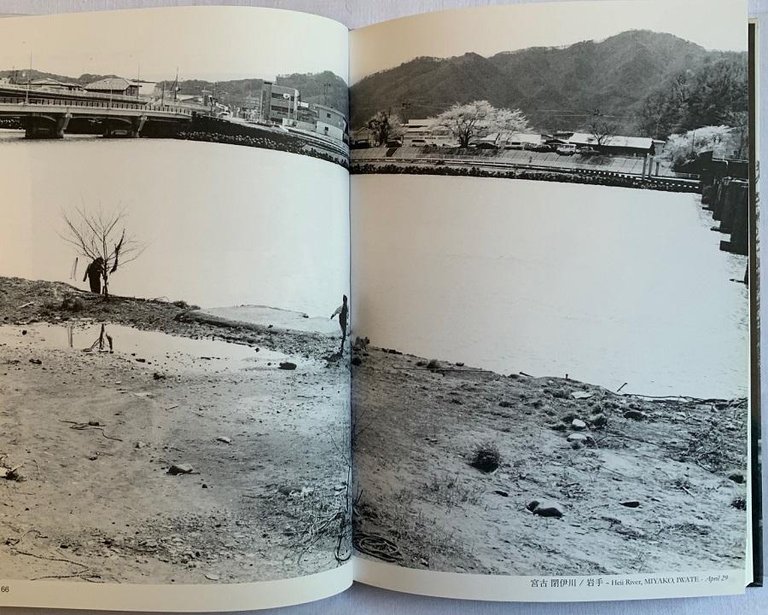 I am a Horse | Immagine Gallery 5