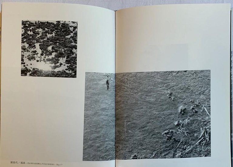 I am a Horse | Immagine Gallery 6